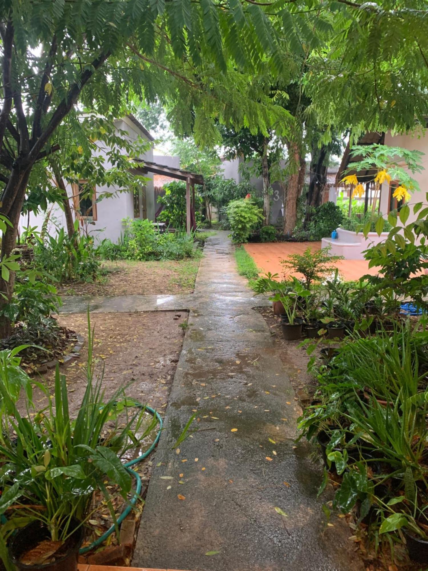 บ้านใจแปงโฮมสเตย์ Ban Jaipang Homestay Pai Exteriör bild