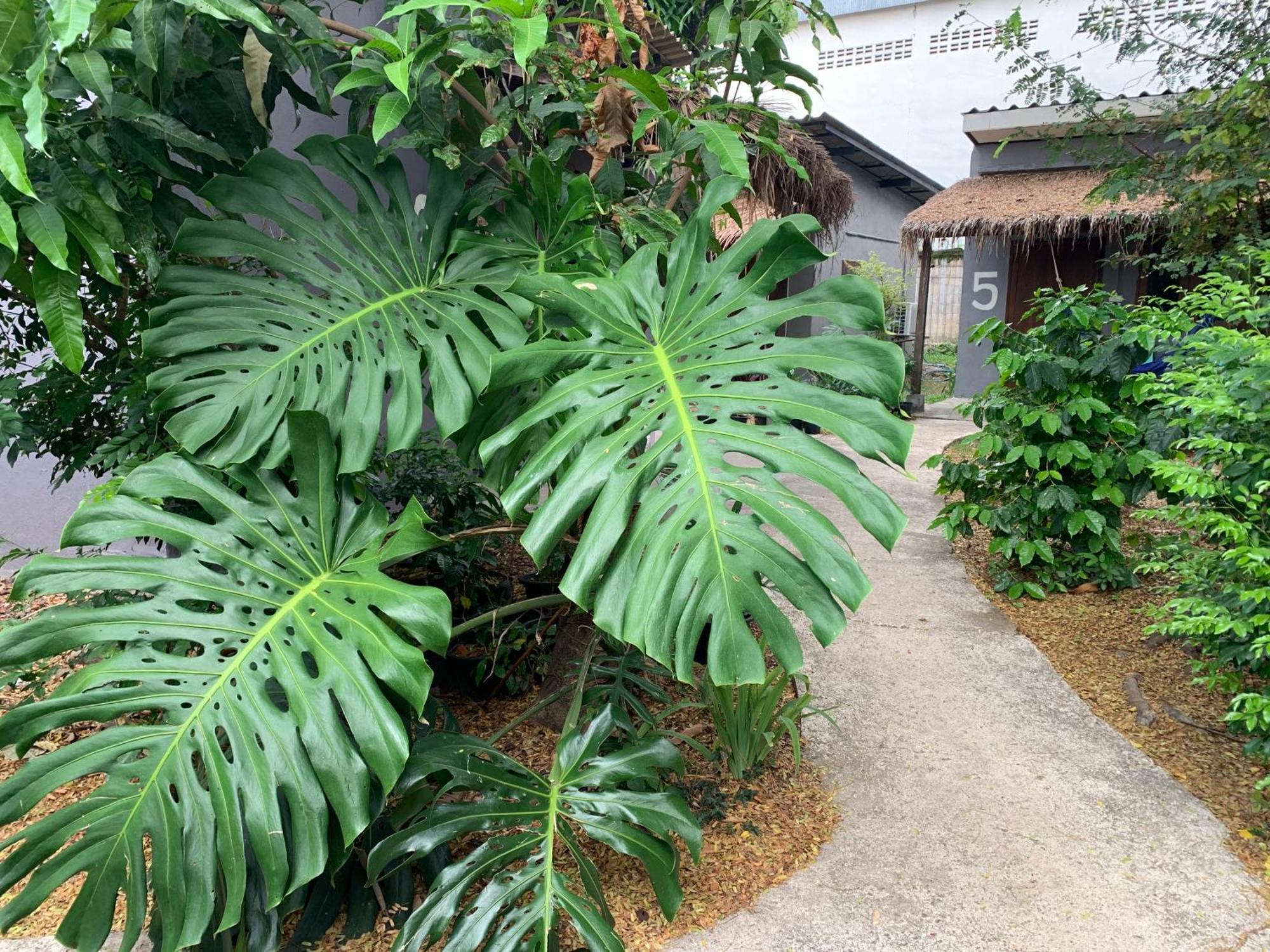 บ้านใจแปงโฮมสเตย์ Ban Jaipang Homestay Pai Exteriör bild