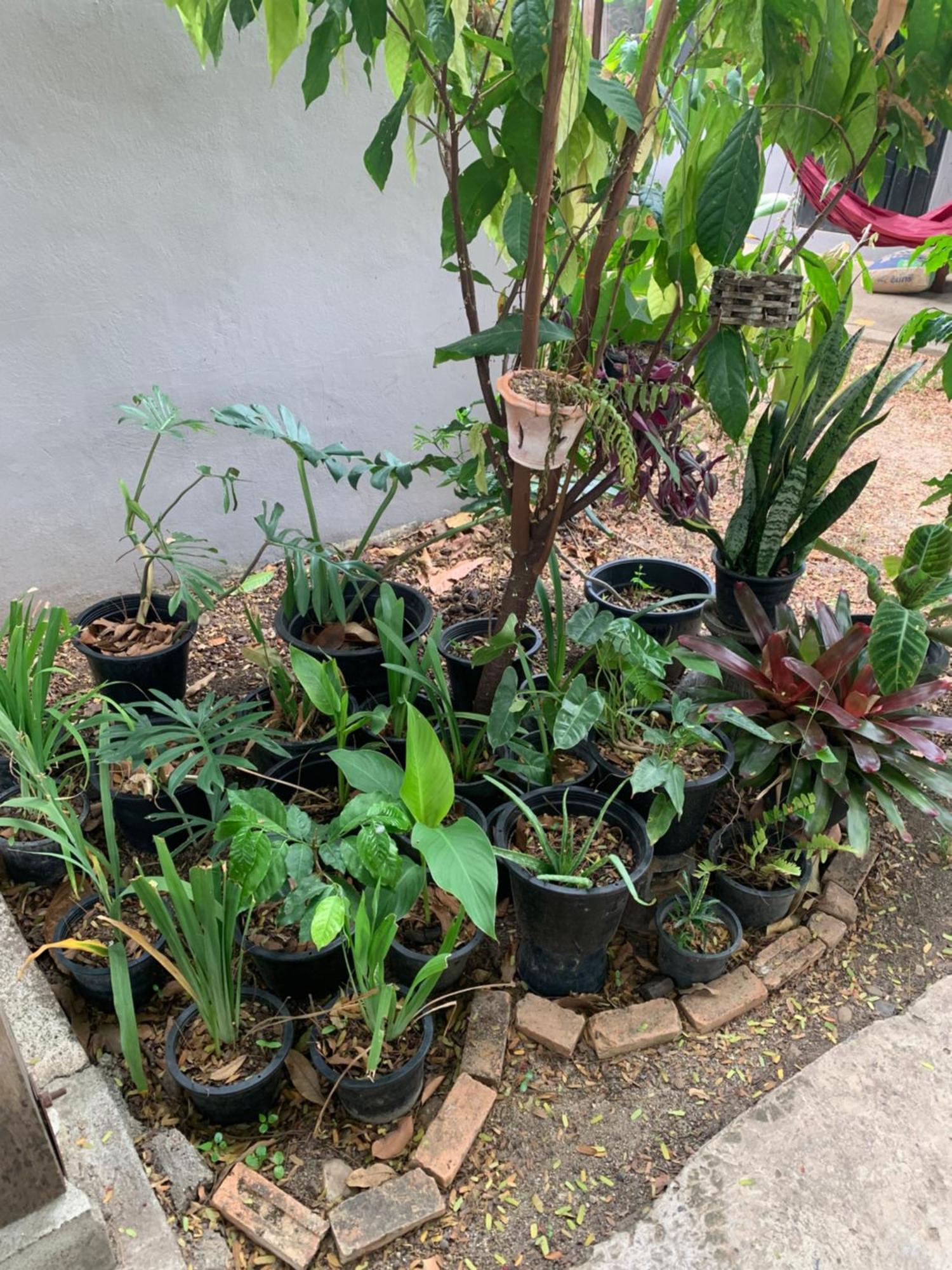 บ้านใจแปงโฮมสเตย์ Ban Jaipang Homestay Pai Exteriör bild